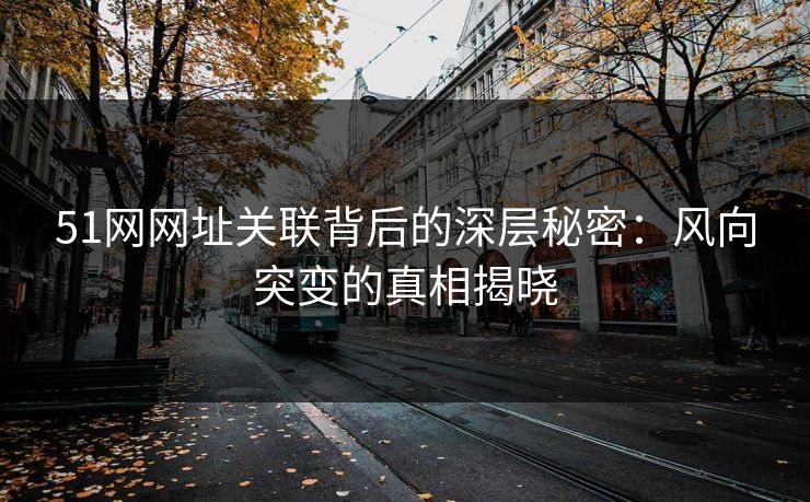 51网网址关联背后的深层秘密：风向突变的真相揭晓