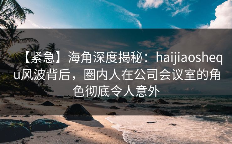 【紧急】海角深度揭秘：haijiaoshequ风波背后，圈内人在公司会议室的角色彻底令人意外